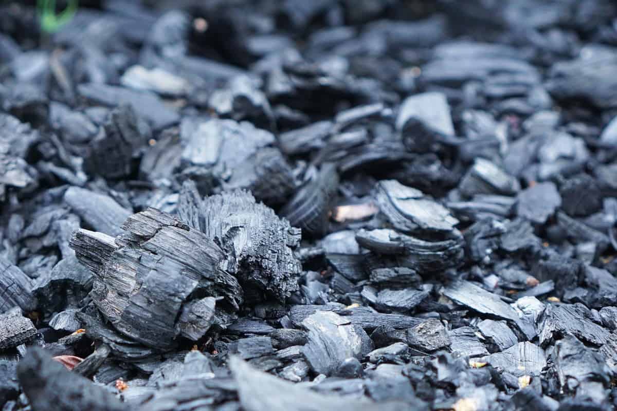 A close-up pile of burned charcoal chunks and wood chips